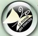 insecte.org