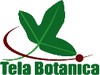 Tela-Botanica